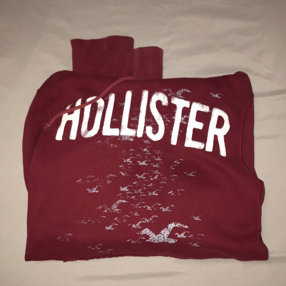 Vintage Hollister hoodie